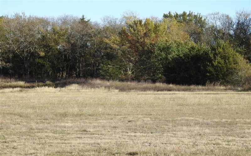 2096 Everheart Road, Bells, TX 75414, 3 Bedrooms Bedrooms, ,2 BathroomsBathrooms,Residential,For Sale,2096 Everheart Road,0,20794705