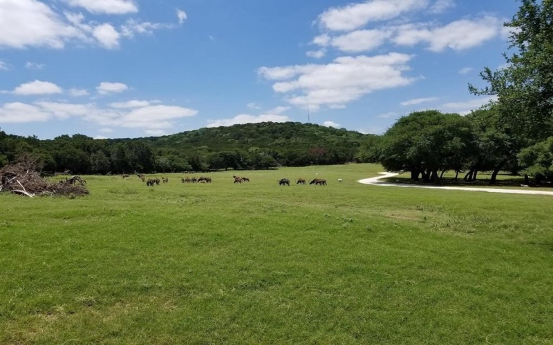 1584 Hidden Oaks Trail Trail, Glen Rose, TX 76690, 3 Bedrooms Bedrooms, ,2 BathroomsBathrooms,Residential,For Sale,1584 Hidden Oaks Trail Trail,0,20791950