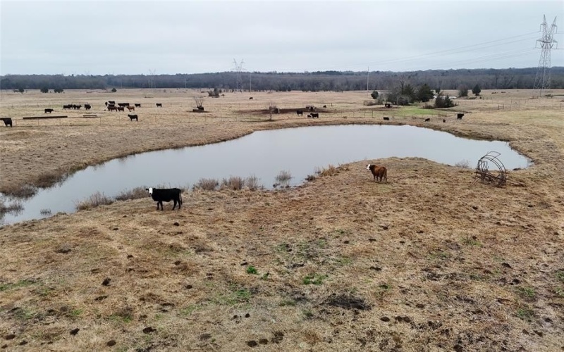 Tract 10 County Rd 4503, Ben Wheeler, TX 75754, ,Land,For Sale,Tract 10 County Rd 4503,20804546
