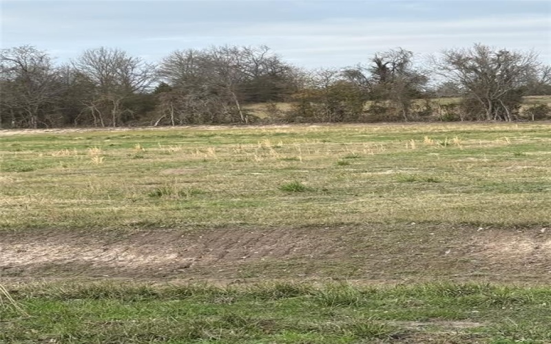 0002 Cr-4012, Mabank, TX 75147, ,Land,For Sale,0002 Cr-4012,20809415