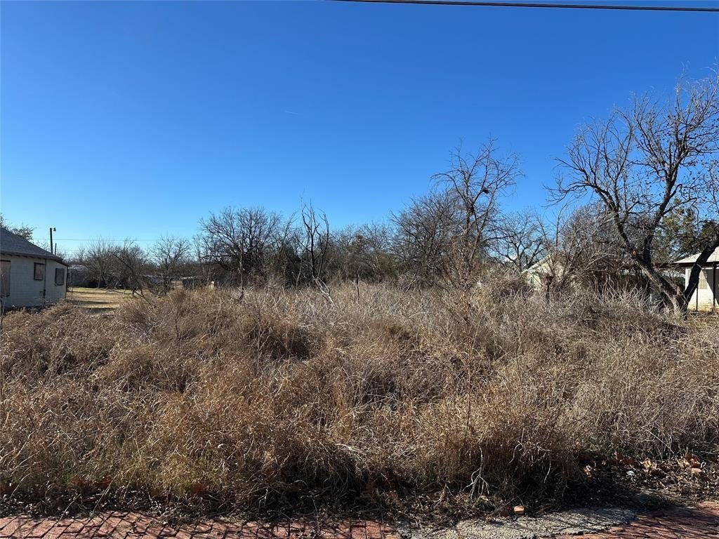 309 Mesquite Street, Ranger, TX 76470, ,Residential,En Venta,309 Mesquite Street,20813133