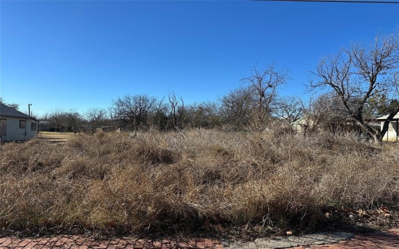 309 Mesquite Street, Ranger, TX 76470, ,Residential,En Venta,309 Mesquite Street,20813133