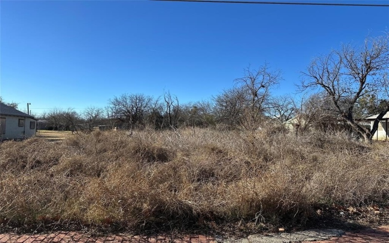 309 Mesquite Street, Ranger, TX 76470, ,Residential,En Venta,309 Mesquite Street,20813133