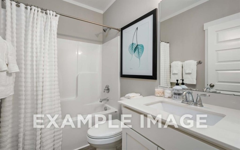 301 Briarwood Drive, Nevada, TX 75173, 4 Bedrooms Bedrooms, ,3 BathroomsBathrooms,Residential,For Sale,301 Briarwood Drive,20813272