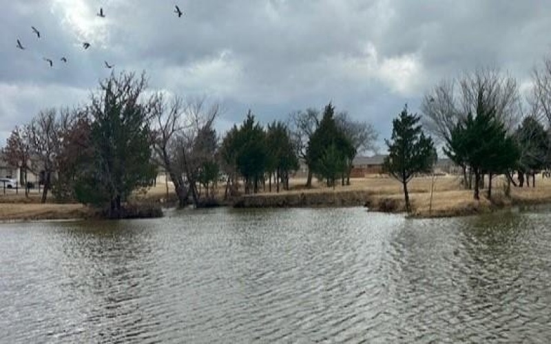 225 DRIFTOAK Drive, Boyd, TX 76023, 4 Bedrooms Bedrooms, ,2 BathroomsBathrooms,Residential,For Sale,225 DRIFTOAK Drive,20810839