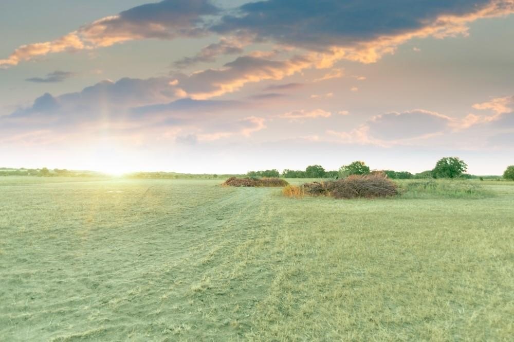 Tbd CR170, Gorman, TX 76454, ,Land,For Sale,Tbd CR170,20815039