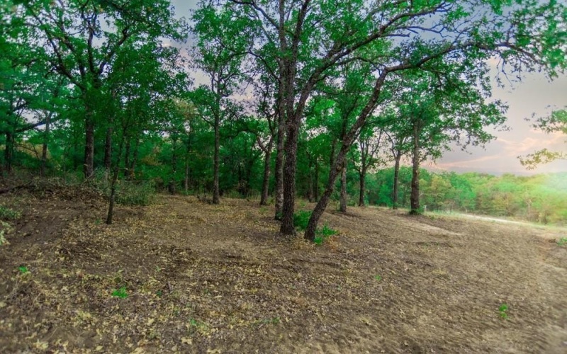 Tbd CR170, Gorman, TX 76454, ,Land,For Sale,Tbd CR170,20815039