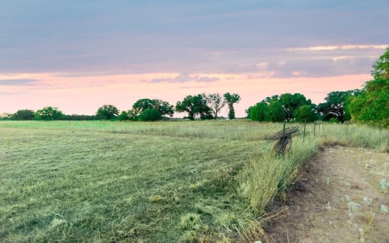Tbd CR170, Gorman, TX 76454, ,Land,For Sale,Tbd CR170,20815039