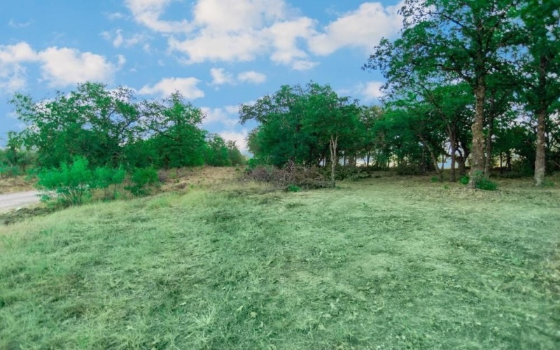 Tbd CR170, Gorman, TX 76454, ,Land,For Sale,Tbd CR170,20815039