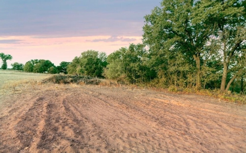 Tbd CR170, Gorman, TX 76454, ,Land,For Sale,Tbd CR170,20815039