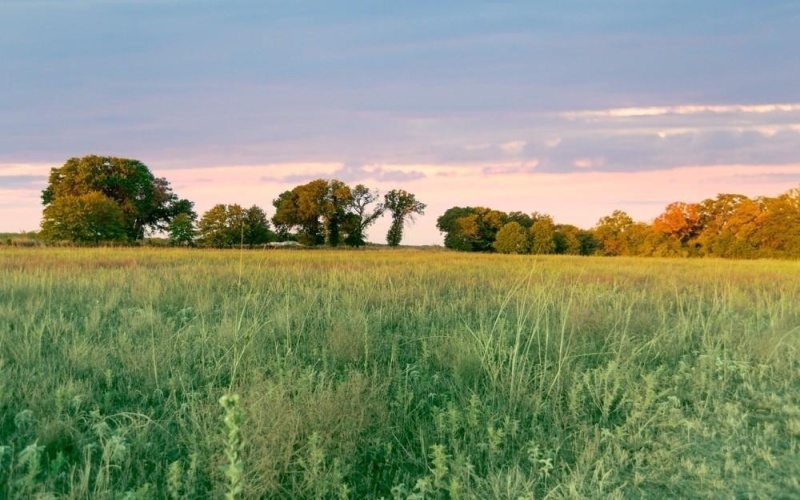 Tbd CR170, Gorman, TX 76454, ,Land,For Sale,Tbd CR170,20815039