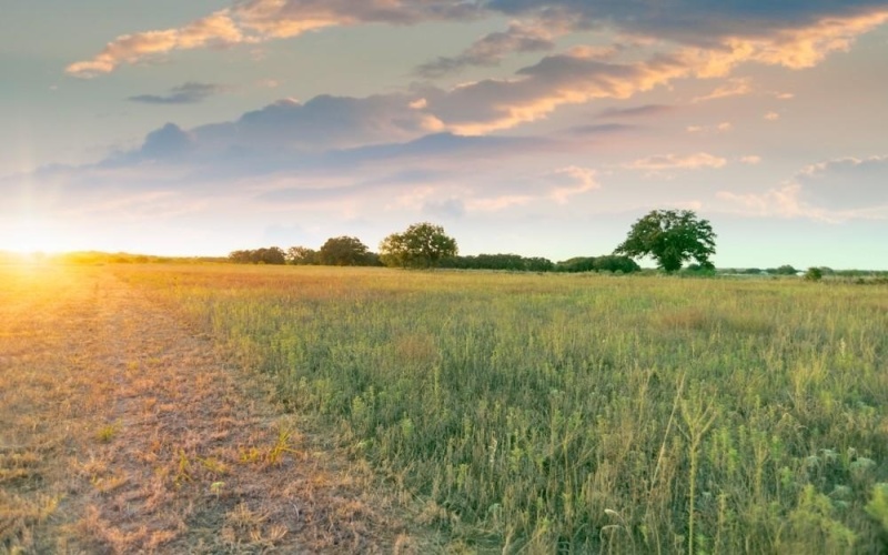 Tbd CR170, Gorman, TX 76454, ,Land,For Sale,Tbd CR170,20815039