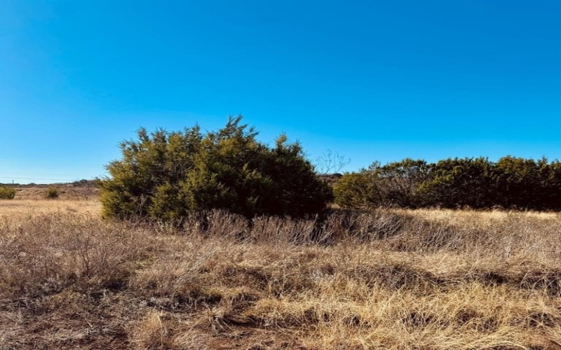 1093 Preston Valley Trail, Glen Rose, TX 76043, ,Land,For Sale,1093 Preston Valley Trail,20823237