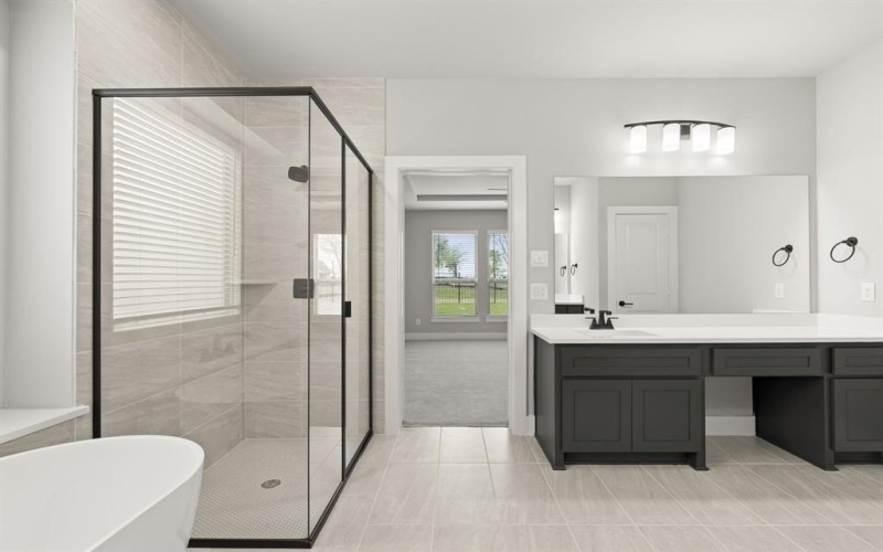 932 Pilatus Lane, Fate, TX 75087, 5 Bedrooms Bedrooms, ,5 BathroomsBathrooms,Residential,For Sale,932 Pilatus Lane,0,20834409