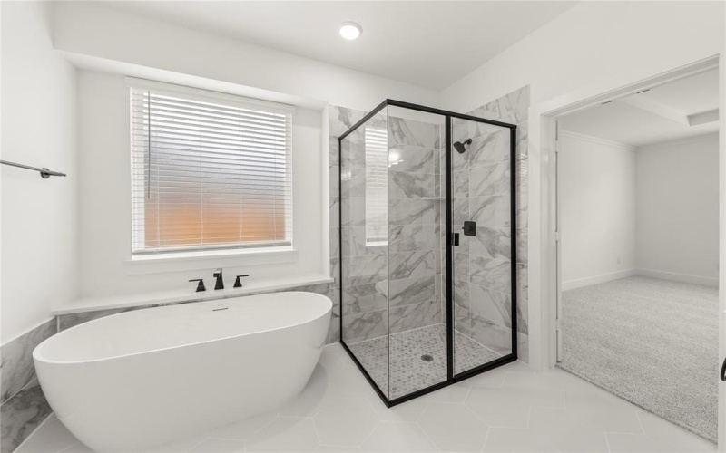 927 Pilatus, Fate, TX 75087, 5 Habitaciones Habitaciones , ,5 BañosBaños,Residential,En Venta,927 Pilatus,20834458