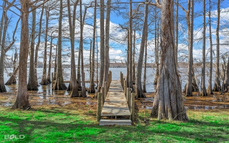 10034 Plum Point Road, Oil City, LA 71061, 3 Habitaciones Habitaciones , ,2 BañosBaños,Residential,En Venta,10034 Plum Point Road,20839342