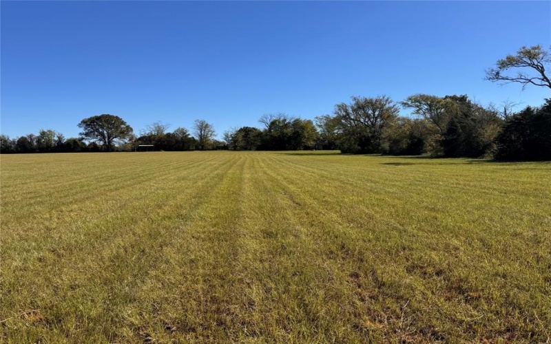 977 N Farm-to-Market Road 17, Alba, TX 75410, ,Commercial Sale,For Sale,977 N Farm-to-Market Road 17,20844809