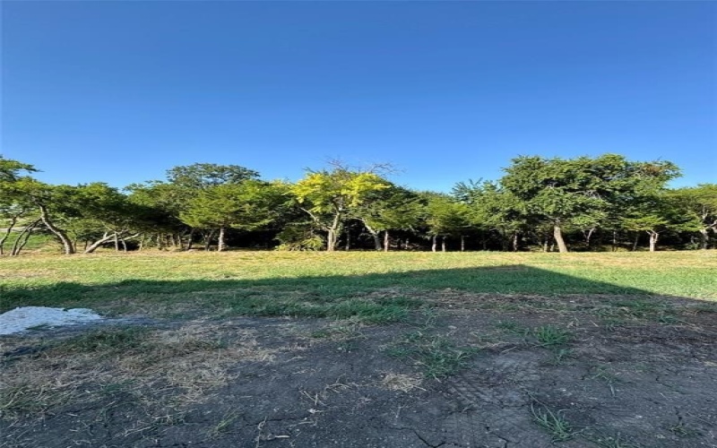 1784 Jilian Drive, Gunter, TX 75058, 4 Habitaciones Habitaciones , ,6 BañosBaños,Residential,En Venta,1784 Jilian Drive,0,20848911