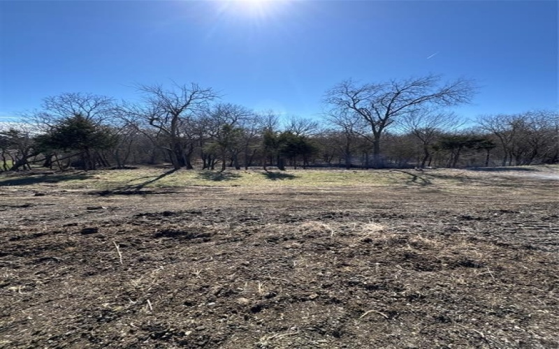 1784 Jilian Drive, Gunter, TX 75058, 4 Bedrooms Bedrooms, ,6 BathroomsBathrooms,Residential,For Sale,1784 Jilian Drive,20848911