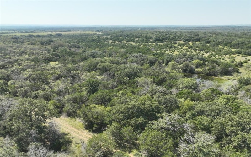 1695 Fm 2823, Carlton, TX 76436, 2 Bedrooms Bedrooms, ,2 BathroomsBathrooms,Residential,For Sale,1695 Fm 2823,20852574