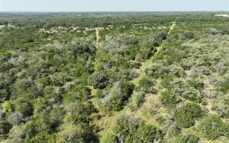 1695 Fm 2823, Carlton, TX 76436, 2 Bedrooms Bedrooms, ,2 BathroomsBathrooms,Residential,For Sale,1695 Fm 2823,20852574