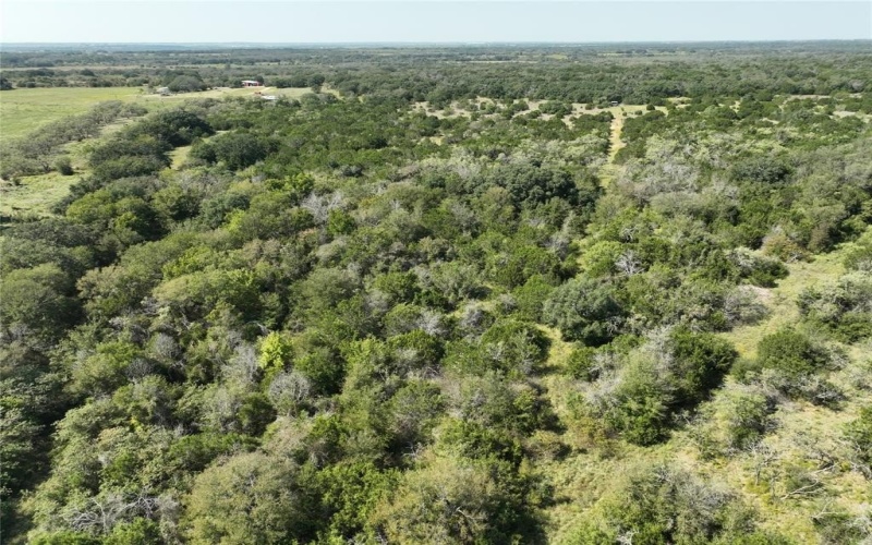 1695 Fm 2823, Carlton, TX 76436, 2 Bedrooms Bedrooms, ,2 BathroomsBathrooms,Residential,For Sale,1695 Fm 2823,20852574