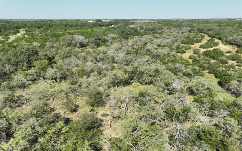 1695 Fm 2823, Carlton, TX 76436, 2 Bedrooms Bedrooms, ,2 BathroomsBathrooms,Residential,For Sale,1695 Fm 2823,20852574