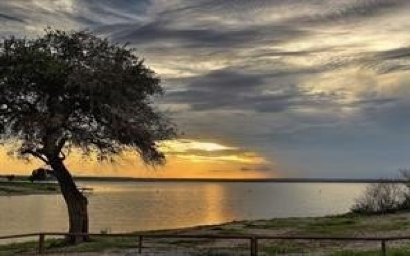 1485 Sage Court, Whitney, TX 76692, 3 Bedrooms Bedrooms, ,2 BathroomsBathrooms,Residential,For Sale,1485 Sage Court,20851508
