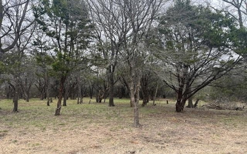 1485 Sage Court, Whitney, TX 76692, 3 Bedrooms Bedrooms, ,2 BathroomsBathrooms,Residential,For Sale,1485 Sage Court,20851508