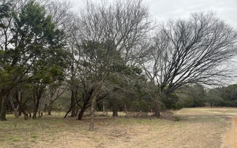 1485 Sage Court, Whitney, TX 76692, 3 Bedrooms Bedrooms, ,2 BathroomsBathrooms,Residential,For Sale,1485 Sage Court,20851508