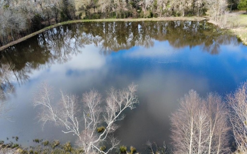 11764 County Road 3516, Brownsboro, TX 75756, 4 Bedrooms Bedrooms, ,3 BathroomsBathrooms,Residential,For Sale,11764 County Road 3516,0,20851820