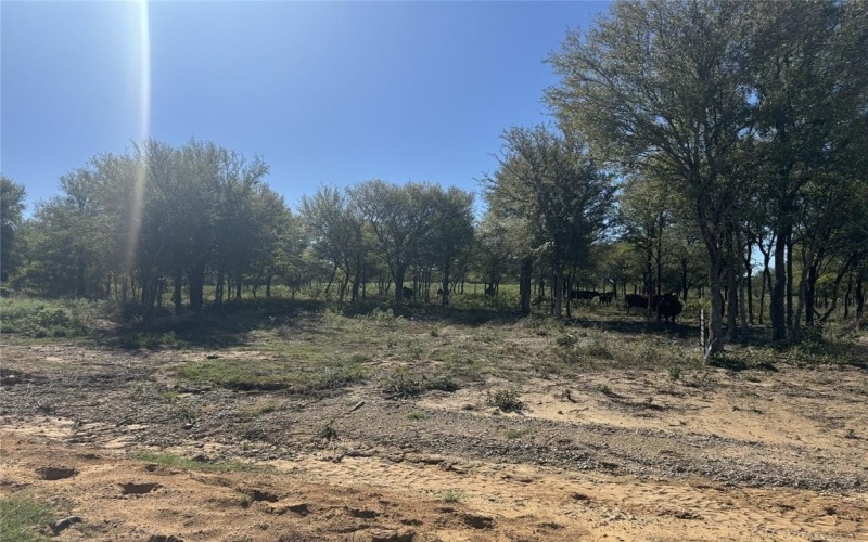 15 Fellowship Trail Drive, Perrin, TX 76486, 3 Bedrooms Bedrooms, ,2 BathroomsBathrooms,Residential,For Sale,15 Fellowship Trail Drive,20867707