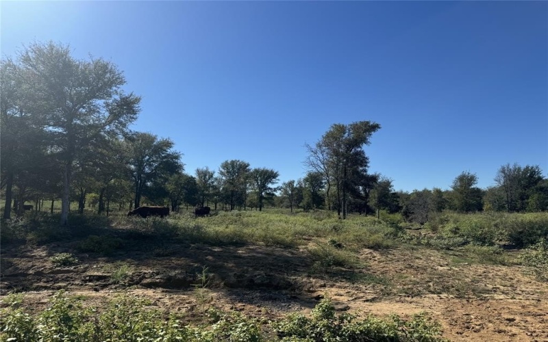 15 Fellowship Trail Drive, Perrin, TX 76486, 3 Bedrooms Bedrooms, ,2 BathroomsBathrooms,Residential,For Sale,15 Fellowship Trail Drive,20867707