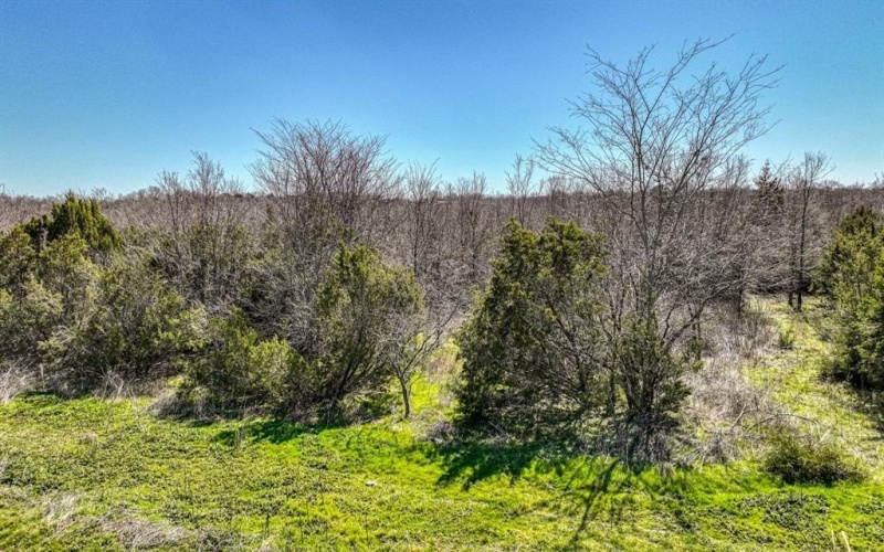 Bed Tbd Preserve Street, Weatherford, TX 76085, 3 Bedrooms Bedrooms, ,2 BathroomsBathrooms,Residential,For Sale,Bed Tbd Preserve Street,20870553