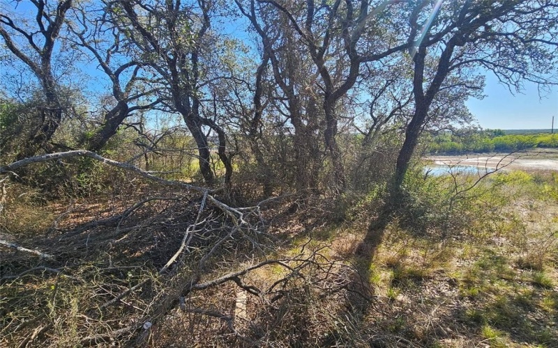 7513 Feather Bay Drive, Brownwood, TX 76801, 3 Habitaciones Habitaciones , ,2 BañosBaños,Residential,En Venta,7513 Feather Bay Drive,20874475