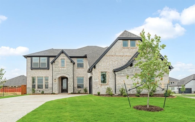 817 Lakewood Court, Midlothian, TX 76065, 4 Habitaciones Habitaciones , ,5 BañosBaños,Residential,En Venta,817 Lakewood Court,20876405