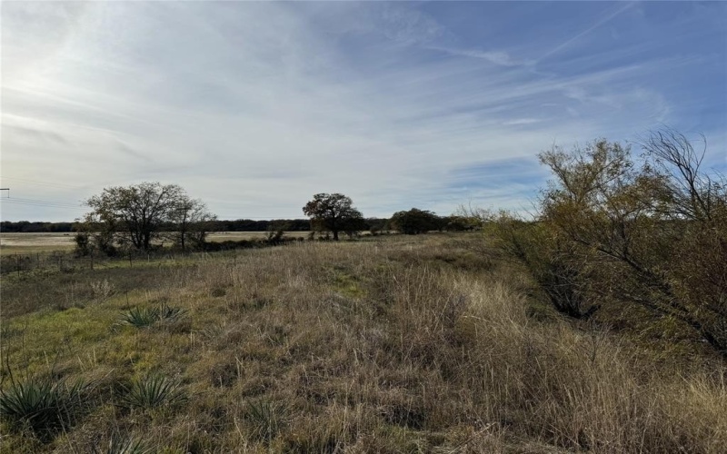 Tbd -a Fm 1655, Chico, TX 76431, 3 Bedrooms Bedrooms, ,2 BathroomsBathrooms,Residential,For Sale,Tbd -a Fm 1655,20874701