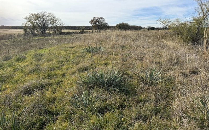 Tbd -a Fm 1655, Chico, TX 76431, 3 Bedrooms Bedrooms, ,2 BathroomsBathrooms,Residential,For Sale,Tbd -a Fm 1655,20874701