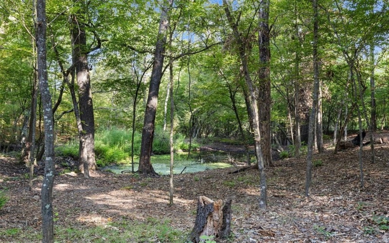 448 Private Road 6685, Hawkins, TX 75765, 4 Bedrooms Bedrooms, ,5 BathroomsBathrooms,Residential,For Sale,448 Private Road 6685,0,20878727