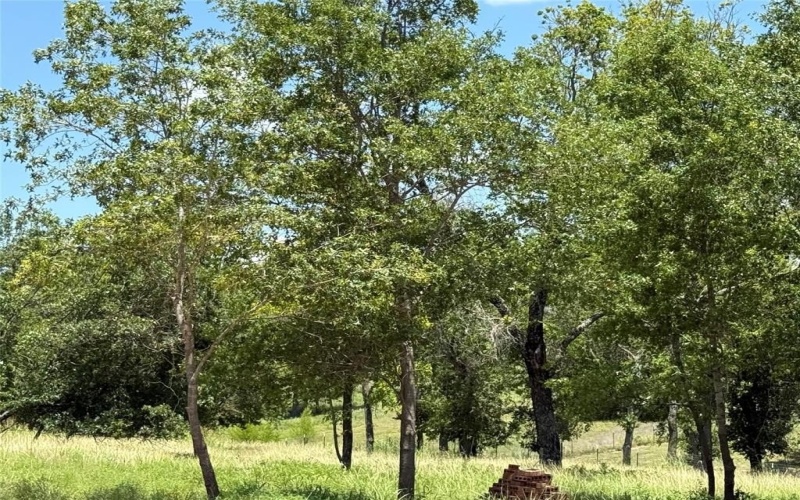 301 Shadle Road, Poolville, TX 76487, 4 Bedrooms Bedrooms, ,2 BathroomsBathrooms,Residential,For Sale,301 Shadle Road,20881646