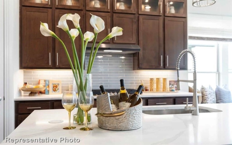 1609 Buttercup Avenue, Aubrey, TX 76227, 4 Habitaciones Habitaciones , ,3 BañosBaños,Residential,En Venta,1609 Buttercup Avenue,0,20881505
