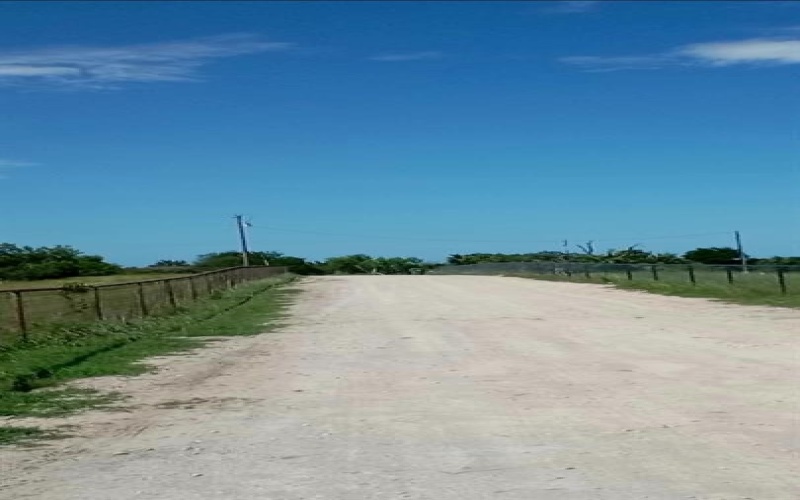 599 PR 3630, Springtown, TX 76020, 3 Bedrooms Bedrooms, ,2 BathroomsBathrooms,Residential,For Sale,599 PR 3630,20883302