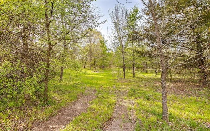 00 pr 3630, Springtown, TX 76082, ,Tierra,En Venta,00 pr 3630,20883326