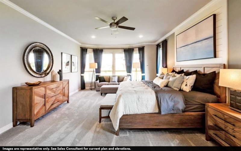 16409 Flatlands Way, Celina, TX 75009, 5 Habitaciones Habitaciones , ,5 BañosBaños,Residential,En Venta,16409 Flatlands Way,20885361