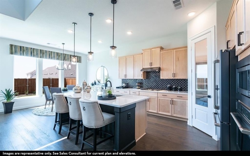 16425 Flatlands Way, Celina, TX 75009, 4 Habitaciones Habitaciones , ,3 BañosBaños,Residential,En Venta,16425 Flatlands Way,20885139