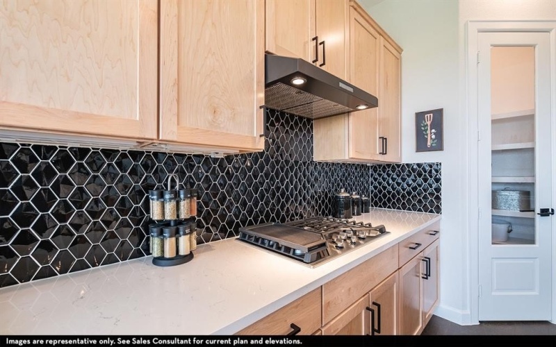16425 Flatlands Way, Celina, TX 75009, 4 Habitaciones Habitaciones , ,3 BañosBaños,Residential,En Venta,16425 Flatlands Way,20885139