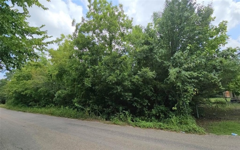 349 W Neagle Avenue, Paris, TX 75460, ,Commercial Sale,En Venta,349 W Neagle Avenue,20902079
