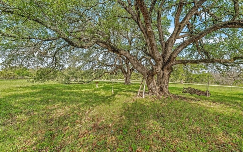 1333 Private Road 2120, Meridian, TX 76665, 2 Habitaciones Habitaciones , ,1 BañoBaños,Residential,En Venta,1333 Private Road 2120,0,20912310