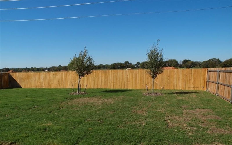 725 Raylan Street, Springtown, TX 76082, 4 Bedrooms Bedrooms, ,2 BathroomsBathrooms,Residential,For Sale,725 Raylan Street,20910267