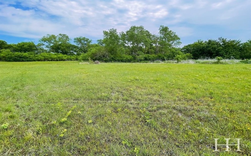 Tbd Lot 4 McConnell Road, Gunter, TX 75058, ,Land,For Sale,Tbd Lot 4 McConnell Road,20913989
